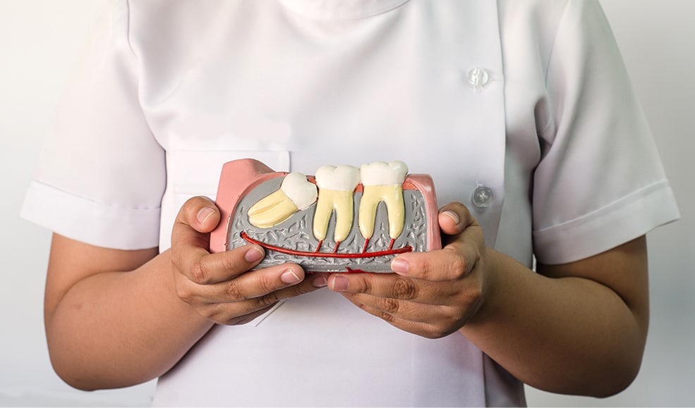Ai Cũng Phải Mọc Răng Khôn Hay Sao? Sự Thật Ít Ai Ngờ Tới!